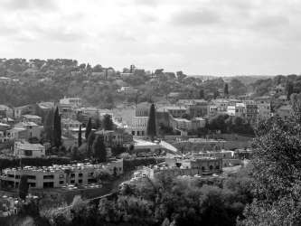 EGR-50-BIOT-IMG-05